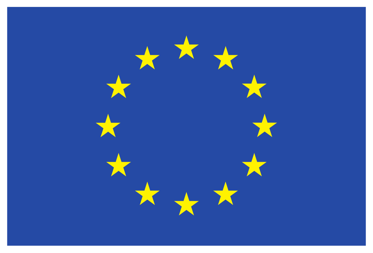 Marie Skłodowska–Curie postdoctoral fellowship awarded